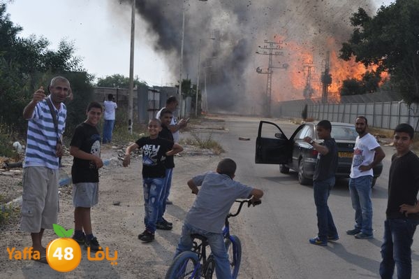 fireludkartoonmasna34 (58).JPG